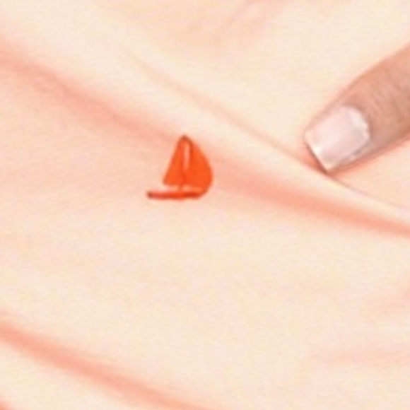 J. Crew Chino Broken-In Embroidered Sailboats Cotton Short Shorts - Picture 7 of 7